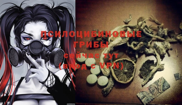 mix Абаза