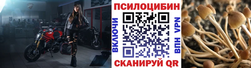 Галлюциногенные грибы мухоморы  кракен ТОР  Устюжна 